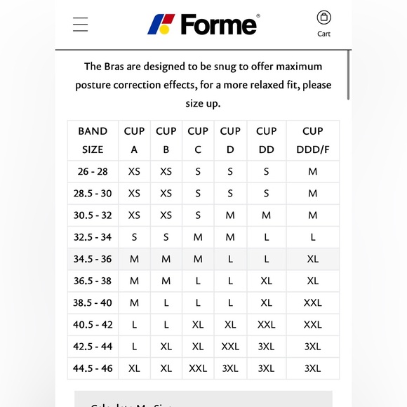 Forme Power Bra L - Picture 6 of 7